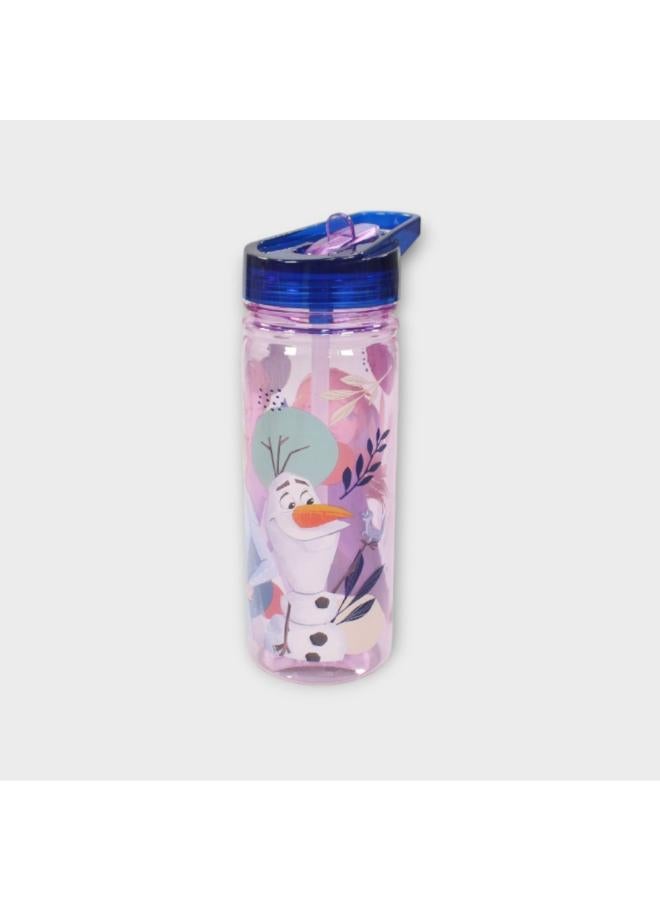 STOR Frozen 580 ML Large Ecozen Bottle