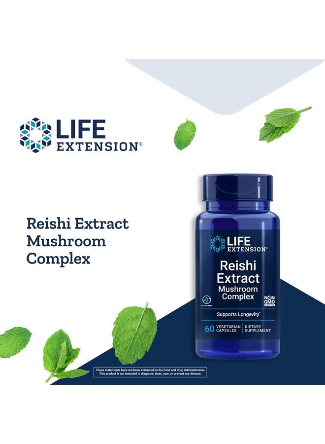 Life Extension مركب مستخلص فطر الريشي - مكمل عشبي للفطر لدعم المناعة - مستخلص غانوديرما لوسيدوم - خالي من الغلوتين، غير معدل وراثيًا، نباتي - 60 كبسولة - Image 4