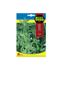 Fito Fito Semillas Stevia Premium Quality Seeds  - Image 2