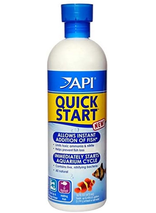 API - Quick Start - Image 1