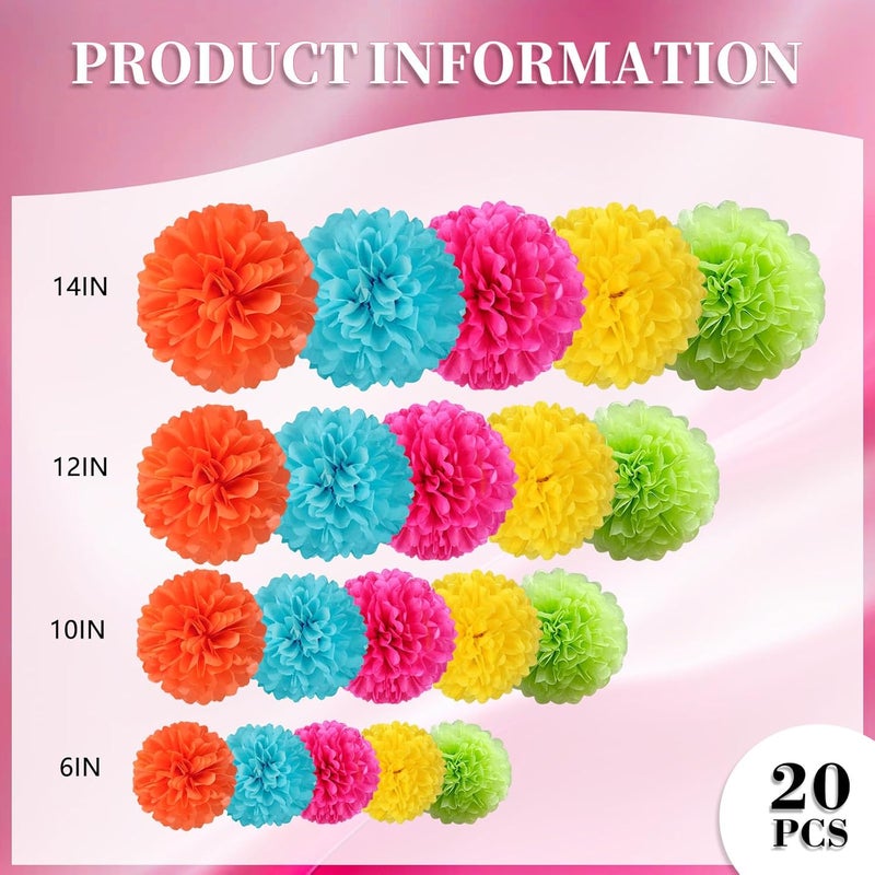 Zankubom 20 PCS Tissue Paper Pom Poms, Tissue Pom Poms Flowers, Sizes of 6", 10", 12", 14" Hanging Paper Flower Ball for Wedding, Birthday, Easter, Graduation Party Decor (Colorful) - Image 2