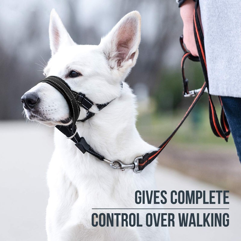 GoodBoy Dog Head Halter with Safety Strap - Stops Heavy Pulling On The Leash - Padded Headcollar for Small Medium and Large Dog Sizes - Head Collar Training Guide Included (Size 2, Black) - Image 2