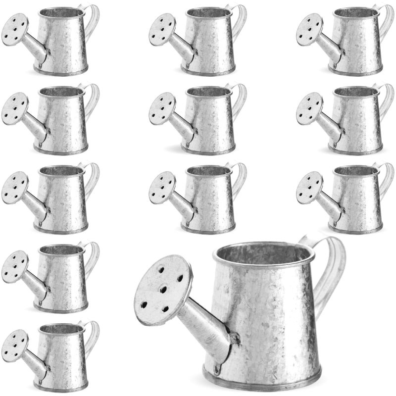 Juvale Mini Watering Can - 3 x 1.6 in, Silver, 12-Pack - Plant Waterer & Indoor Water Pot for Plants - Garden Watering Can & Home Decor Accessories - Image 1