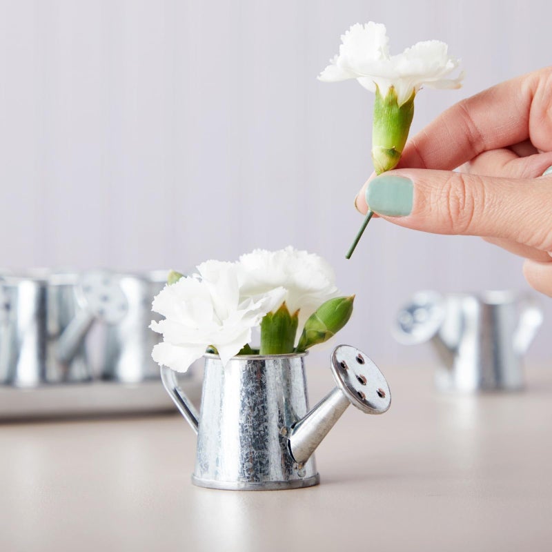 Juvale Mini Watering Can - 3 x 1.6 in, Silver, 12-Pack - Plant Waterer & Indoor Water Pot for Plants - Garden Watering Can & Home Decor Accessories - Image 2