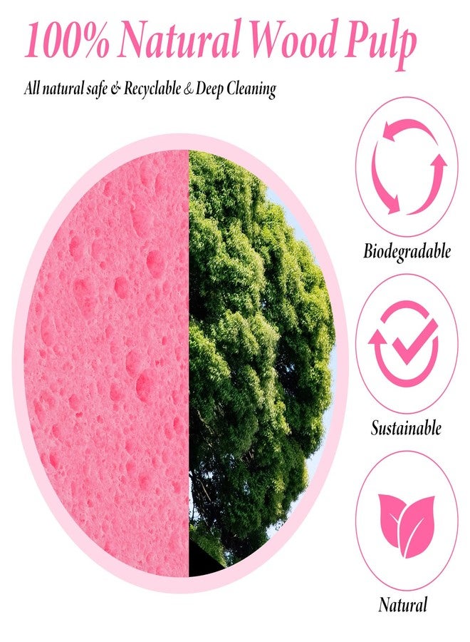 IANFAN 300 Count Compressed Facial Sponges for Cleansing, Disposable Face Sponge for Estheticians, Travel Face Sponge for Facial Spa Exfoliating Makeup Mask Removal, Pink - Image 4
