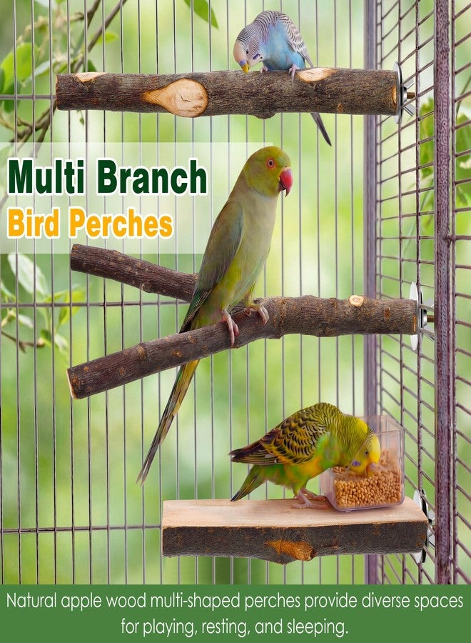 Saillong 4 Pack Natural Wood Bird Perch, Multi Branch Parrot Stand, Toy for Parakeet, Cockatiels, Conures, Lovebirds, Long Tailed Small Parrots Climbing Chewable Standing Cage Accessories - Image 2