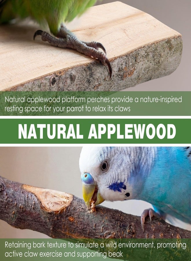 Saillong 4 Pack Natural Wood Bird Perch, Multi Branch Parrot Stand, Toy for Parakeet, Cockatiels, Conures, Lovebirds, Long Tailed Small Parrots Climbing Chewable Standing Cage Accessories - Image 4