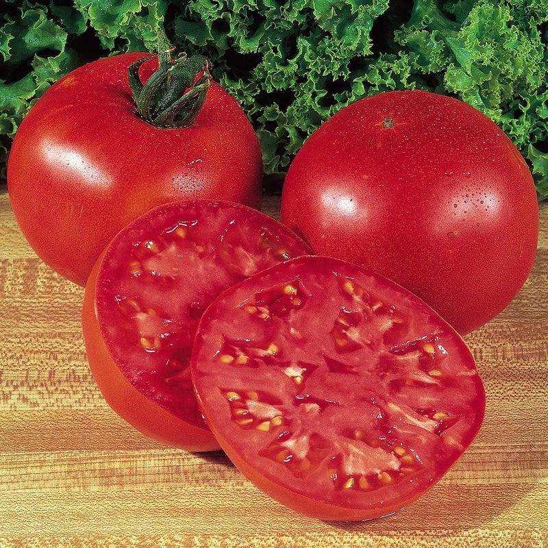Burpee Big Boy Tomato 125 NonGMO Seeds
