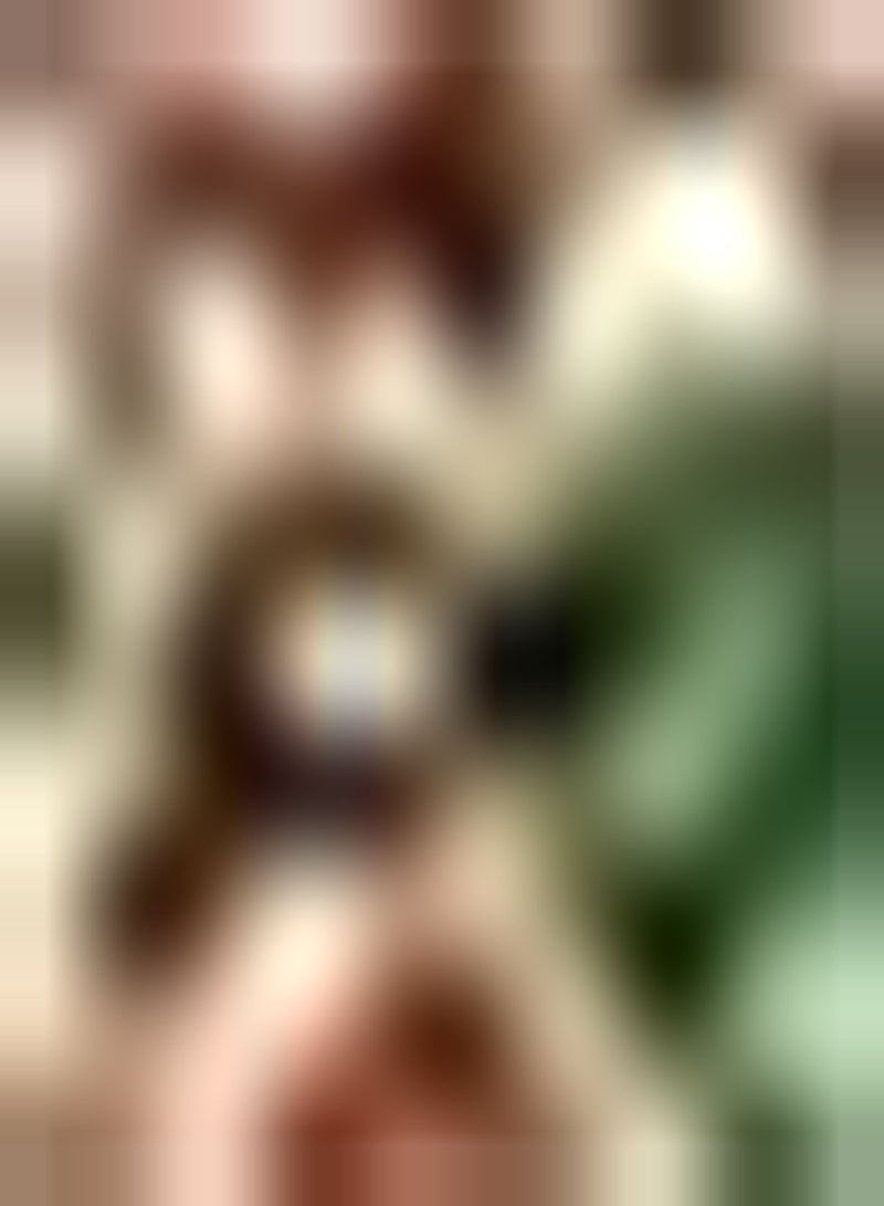 GGOOT 10pcs Orange Tulip Seeds Easy Planting Garden Indoor Outdoor Decoration for Gardeners Collectors of Rare Use Icing on Cake for Your Home Landscape - Image 1