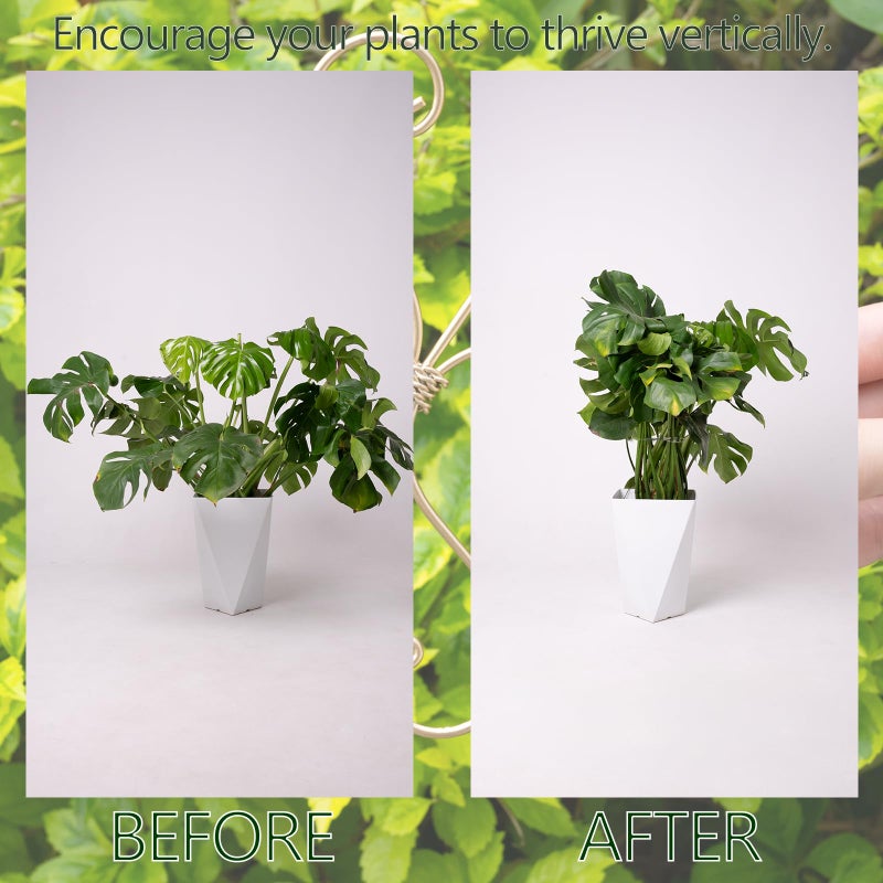 Goooxim 5PCS 7.5 Inch Monstera Plant Stem Support Hook - Premium Metal Structure for Indoor Plants, Durable and Elegant Stem Holder with Soft Touch Clips for Stable Growth - Image 3