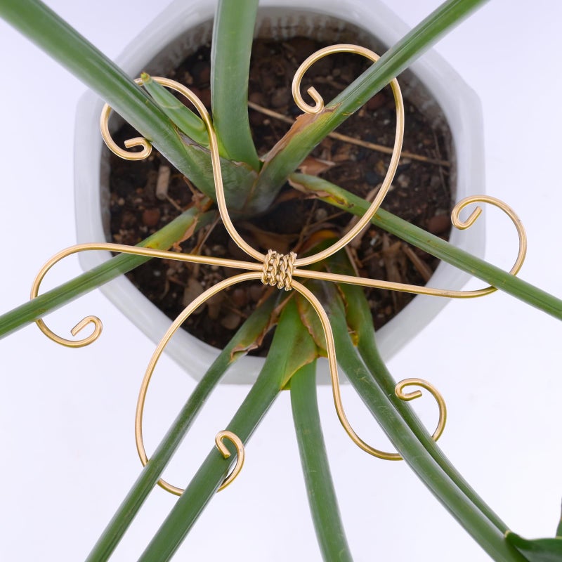 Goooxim 5PCS 7.5 Inch Monstera Plant Stem Support Hook - Premium Metal Structure for Indoor Plants, Durable and Elegant Stem Holder with Soft Touch Clips for Stable Growth - Image 1