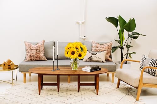 Benchmark Bouquets - 10 Stem Sunflowers (Glass Vase Included) - Fresh Flowers for Delivery - Gift for Graduation, Birthday, Anniversary, Sympathy, Get Well, Congratulations - Image 5