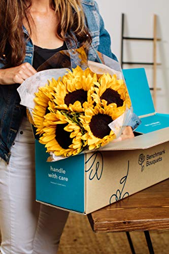 Benchmark Bouquets - 10 Stem Sunflowers (Glass Vase Included) - Fresh Flowers for Delivery - Gift for Graduation, Birthday, Anniversary, Sympathy, Get Well, Congratulations - Image 2