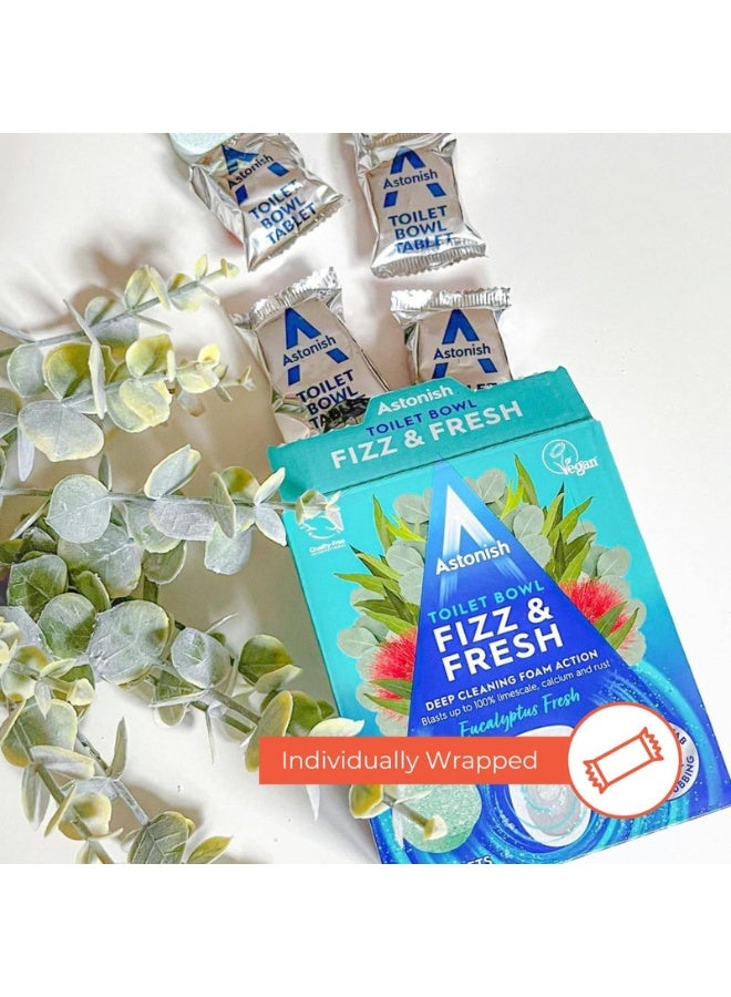 Astonish Toilet Bowl Fizz & Fresh – Eucalyptus – 8 Tablets - Image 5