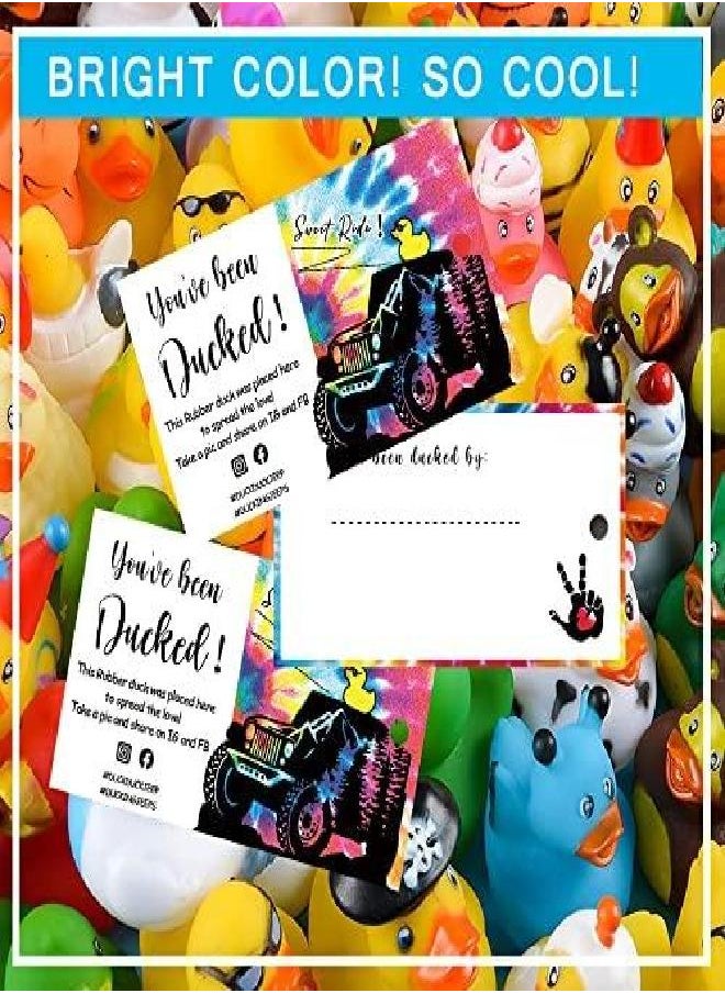 You've Been Ducked Cards-Sweet Ride,Duck Duck Ducking Game Card,Ducked Tags,Ducking Card Tag,50 Pack,3.5 x 2" Business Card Size with Round Hole and Rubber Bands,Tie Dyed Print Design