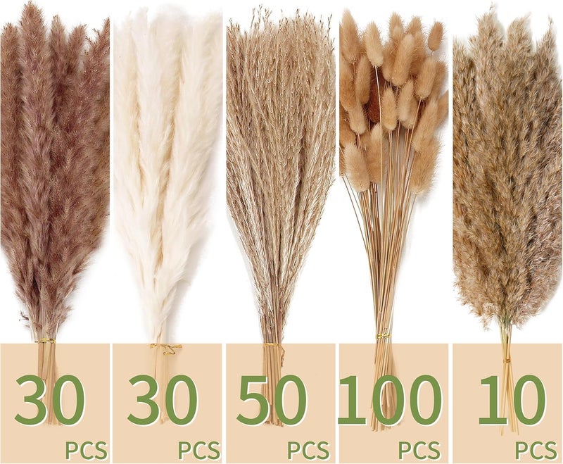 ANPROOR 220 PCS Dried Flower Bouquet – Pampas Grass, Floral Decor for Home, Wedding, and Boho Style | Perfect for Vases, Fall, Spring, Summer, and Winter Arrangements - Image 2