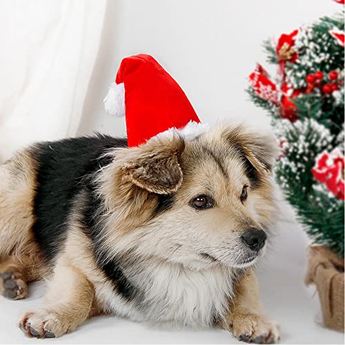 Wiz BBQT Adjustable 3D Christmas Santa Hat for Dogs Cats Small - Image 3