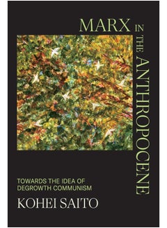 Marx in the Anthropocene: Towards the Idea of Degrowth Communism