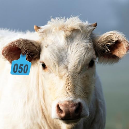 Abustle pig Cattle Ear Tags, Large Plastic Livestock Ear Tags for Sheep Cattle Calf Hog with Number 001-100/101-200/201-300, Animal Identification Ear Tag (Blue, 001-100) - Image 3
