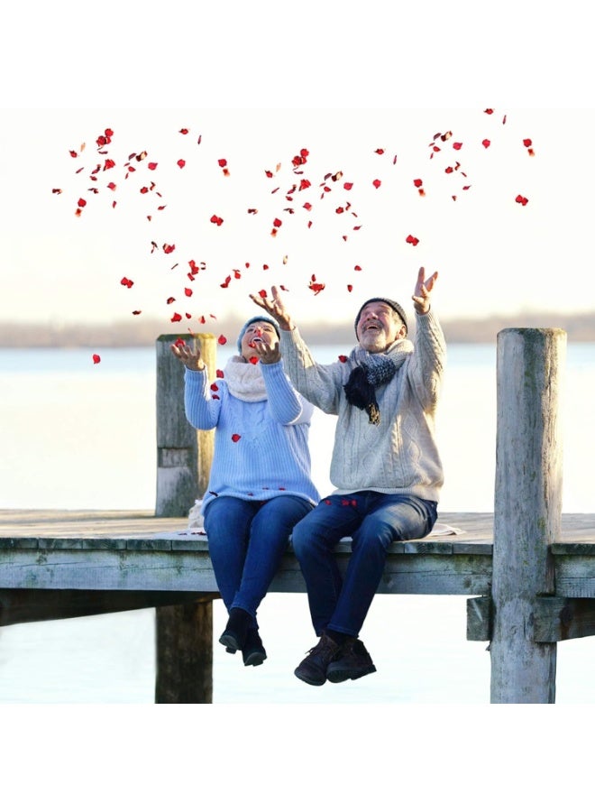 Neo LOONS 1000 Pcs Artificial Silk Rose Petals Decoration Wedding Party Color Red - Image 5
