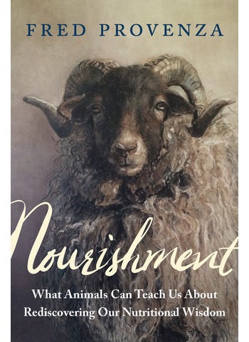 Nourishment - pzsku/ZC7E04C58D3CC14D9AB87Z/45/1746187485/26e2592b-fec4-4286-8ad7-cc99000c696c