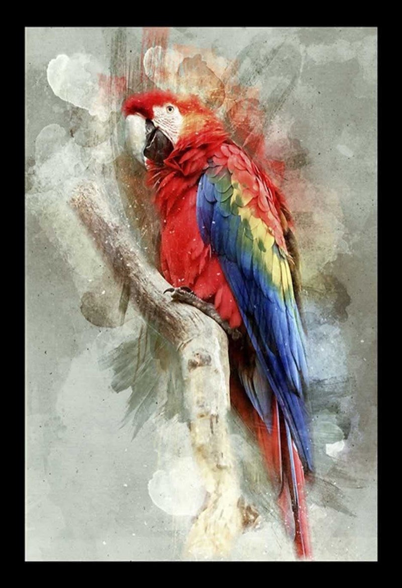 Prem Art and Craft Parrot Theme Photo Frame 12x18inch - Image 1