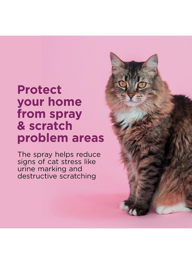 Comfort Zone Comfort Zone Cat Calming Pheromone Spray: Value Size (4 oz); Proven to Reduce Destructive Scratching, Urine Marking, and Stress  - Image 2