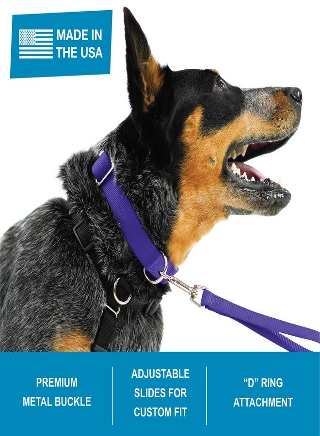 طوق بلو-9 سكيور برو للكلاب، مصمم لتدريب الطاعة والحفاظ على الهوية، طوق متين وقابل للتعديل مع مشبك معدني، صنع في الولايات المتحدة الأمريكية، لون أزرق سماوي، مقاس كبير - Image 3