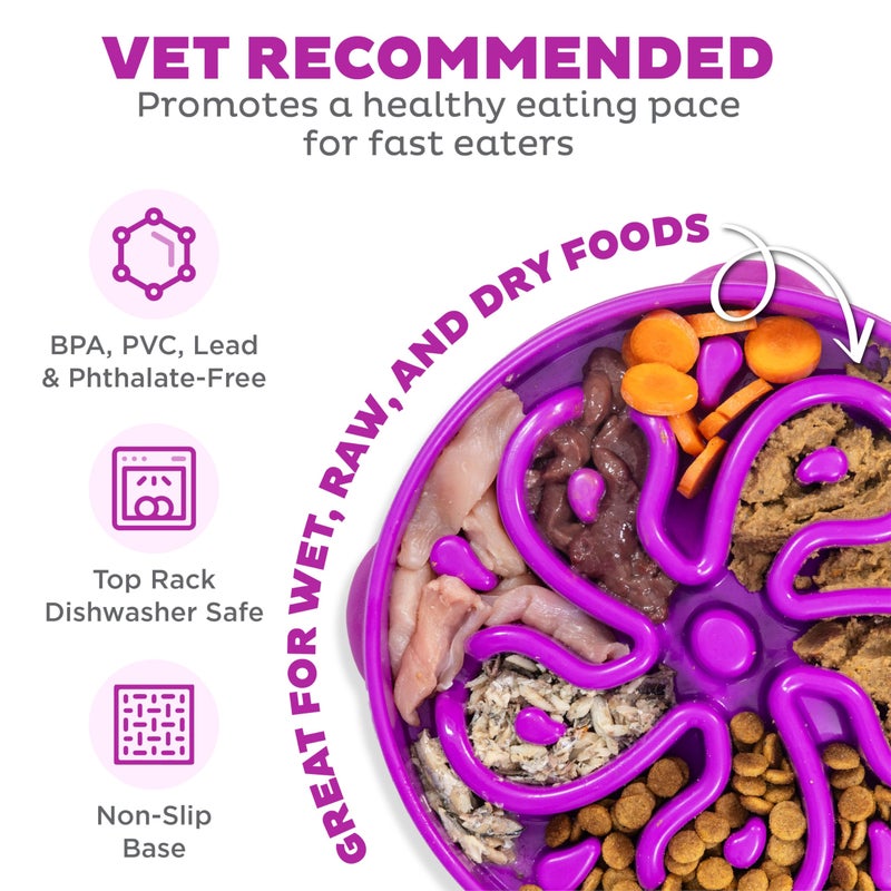 Outward Hound Large Slow Feeder Bowl, Puzzle Maze for Fast Eaters, Medium to Large Dogs, Helps Prevent Bloat & Aid Digestion, Holds 4 Cups Wet or Dry Food, Non-Slip, Made Without BPA, Purple - Image 3