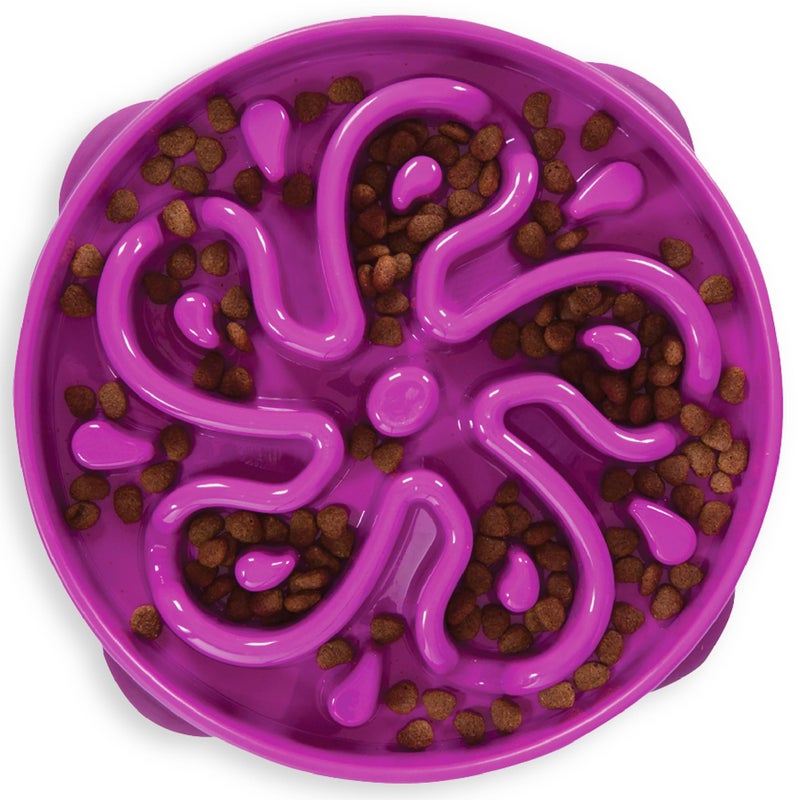 Outward Hound Large Slow Feeder Bowl, Puzzle Maze for Fast Eaters, Medium to Large Dogs, Helps Prevent Bloat & Aid Digestion, Holds 4 Cups Wet or Dry Food, Non-Slip, Made Without BPA, Purple - Image 1