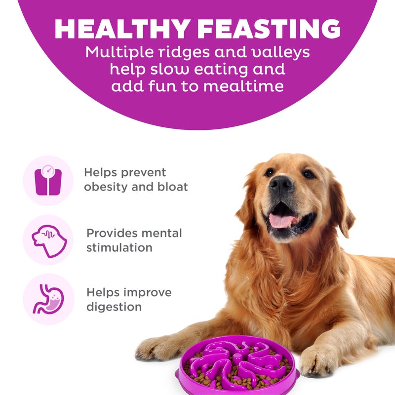Outward Hound Large Slow Feeder Bowl, Puzzle Maze for Fast Eaters, Medium to Large Dogs, Helps Prevent Bloat & Aid Digestion, Holds 4 Cups Wet or Dry Food, Non-Slip, Made Without BPA, Purple - Image 2