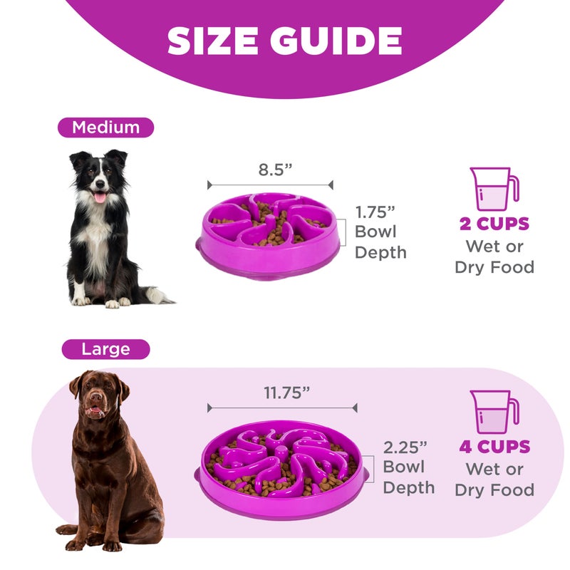 Outward Hound Large Slow Feeder Bowl, Puzzle Maze for Fast Eaters, Medium to Large Dogs, Helps Prevent Bloat & Aid Digestion, Holds 4 Cups Wet or Dry Food, Non-Slip, Made Without BPA, Purple - Image 5