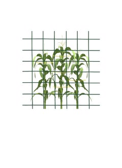 ROBUSTLINE Robustline Wire Mesh Fencing, Galvanized PVC Coated Garden Fencing, Green Steel Nets for Farming Fence, Plant Chicken Wire Fence and Animals Hen-houses Small (3.67 Mtr ) (3/4" X 4FT X 12FT X 19MM)  - Image 2