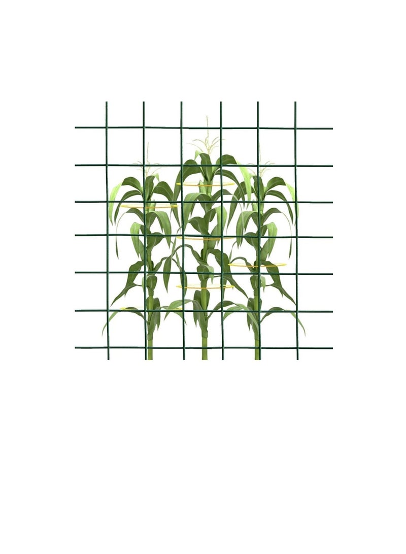 ROBUSTLINE Robustline Wire Mesh Fencing, Galvanized PVC Coated Garden Fencing, Green Steel Nets for Farming Fence, Plant Chicken Wire Fence and Animals Hen-houses Small (3.67 Mtr ) (3/4" X 4FT X 12FT X 19MM)  - Image 2