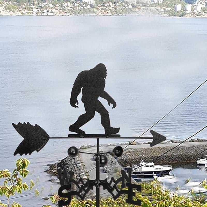 طقس فولاذ مقاوم للصدأ كلاسيكي لقياس اتجاه الرياح في الحديقة والسطح، لون 3 - Image 2