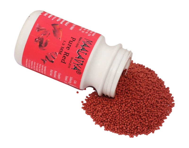 Maalavya Pure Red Fish Food Pellet Small 1.2 MM 100 GM Best Parrot Fish Food Aquarium Fish Food Red Parrot Fish Food Best Fish red Food Fish Parrot Food Fish Tank Fast red Fish Food high red - Image 2
