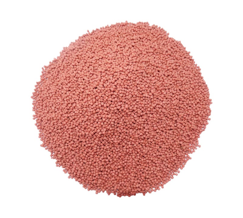 Maalavya Pure Red Fish Food Pellet Small 1.2 MM 100 GM Best Parrot Fish Food Aquarium Fish Food Red Parrot Fish Food Best Fish red Food Fish Parrot Food Fish Tank Fast red Fish Food high red - Image 4