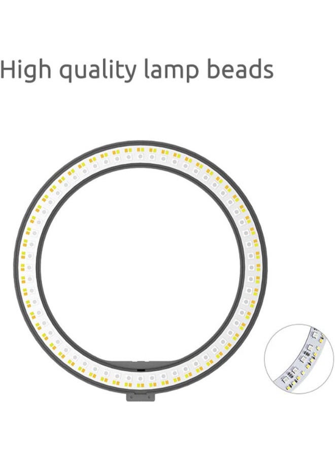 SHOPI - 10 Inch LED Ring Fill Light RGB Ring Lamp USB Ring Light Photo Selfie Lamp with Remote and Phone Stand for Streaming Video Photography - Image 1
