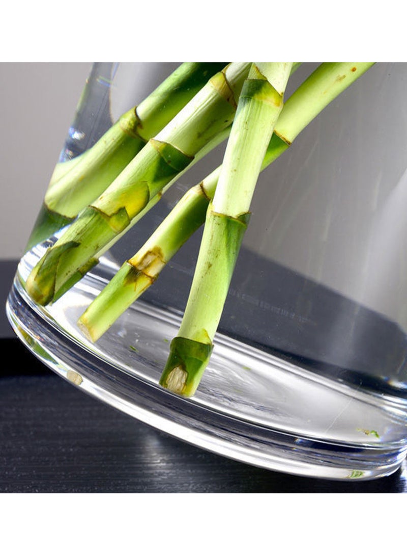 Aquarium Terrarium glass tall tank 15x25cm clear - Image 4