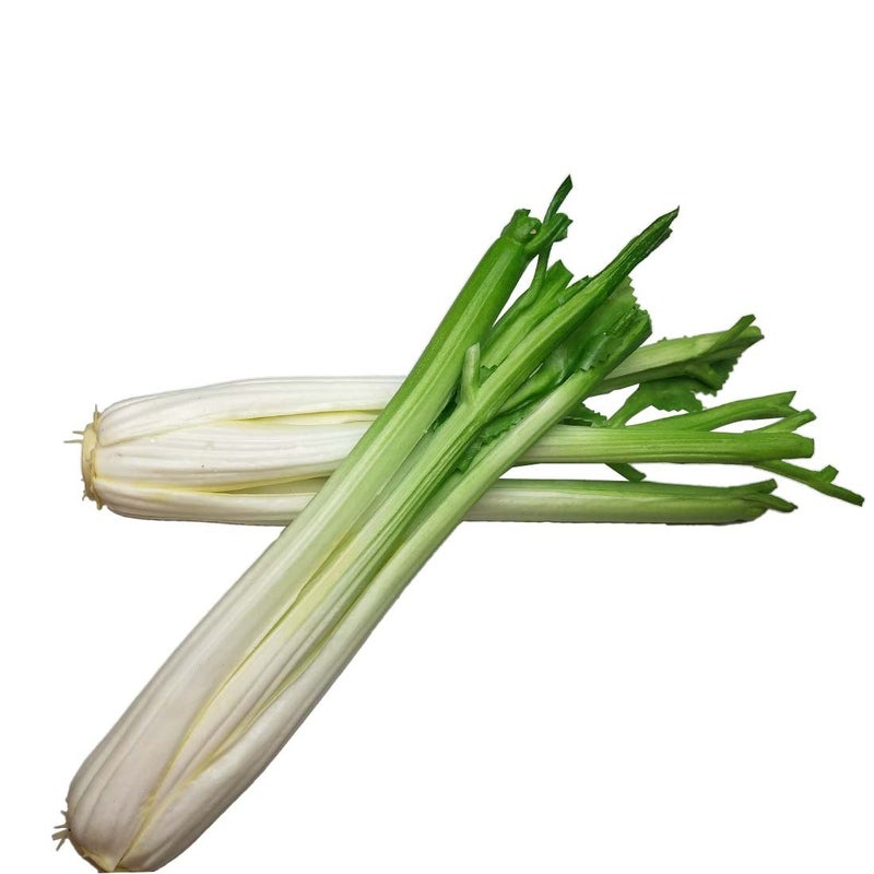 Lorigun Celery Artificial Vegetables Green Fake Vegetables for Decoration Home Decor Market Display Kids Toy Kitchen Decoration Celery Stick 2Pcs