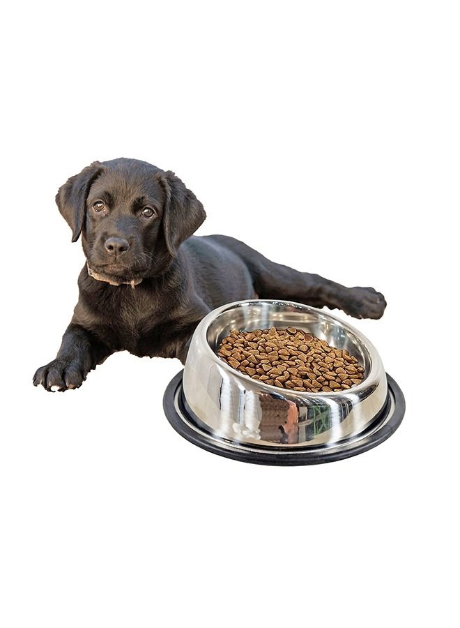 MAJIBAO Dog Food Feeder Round Bowl with Sloppy Cut, Strong SS Material, Small Size Bowl for Small Size Pets, Rubber or Silicon Grip for No Sliding, Bowl Diameter 16 Cm  - Image 1