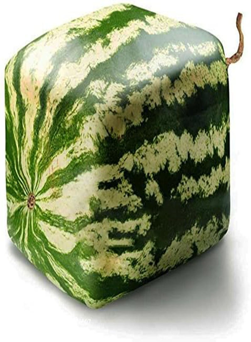 جي جوت بذور البطيخ المربعة من إيجرو، 30 قطعة/عبوة، مناسبة للحديقة المنزلية، نباتات فواكه حلوة هندسية بسيطة - Image 2