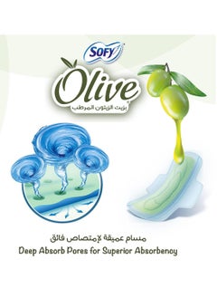 Sofy Olive Oil Moisturizer Slim Night Pads 24+2 Pcs  - Image 4