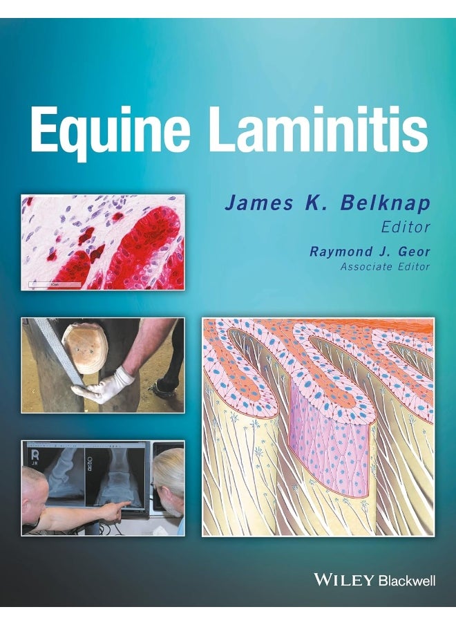 Equine Laminitis 