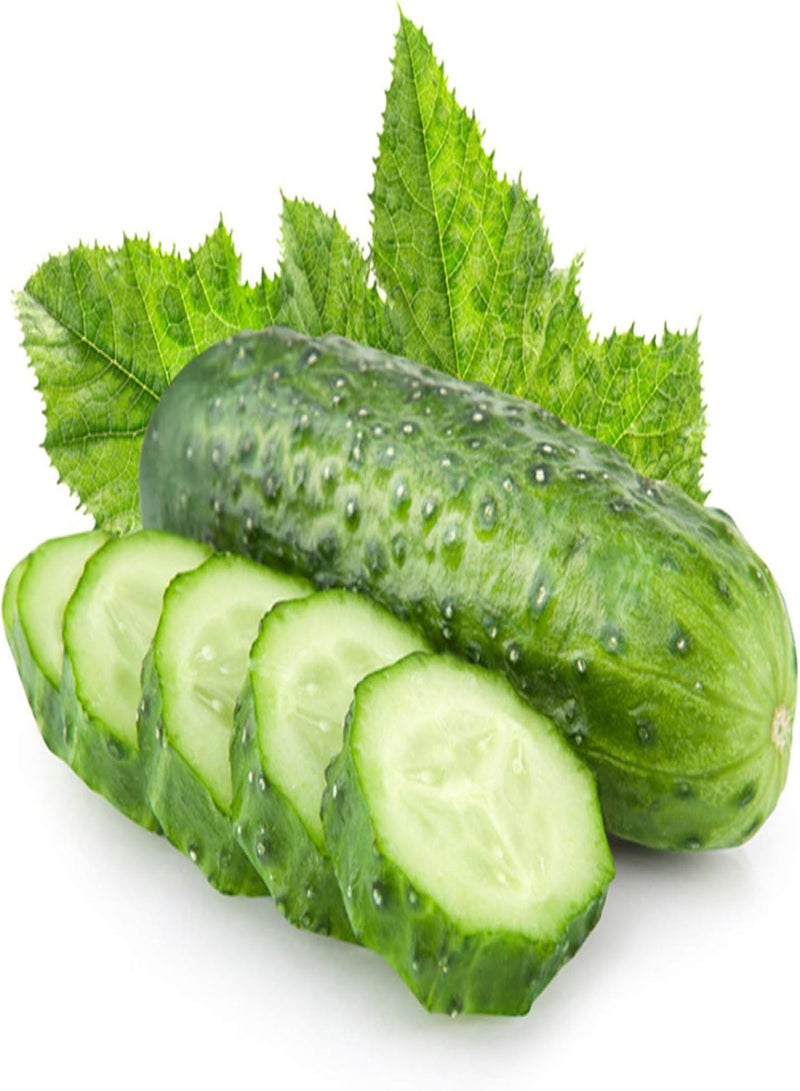 GGOOT 30Pcs Cucumber seeds Non GMO Open Pollinated Edible High Germination Rate Pickled Cucumber seeds Outdoor Green - Image 4