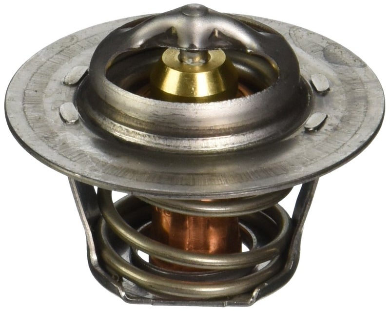 Raypak 006719F Unitherm Governor Capron - Image 1