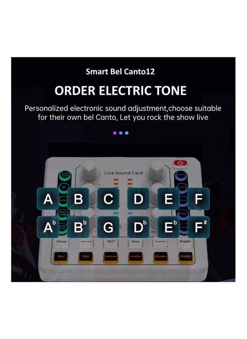 Generic Live Sound Card, Mini Audio Mixer Board for PC Computer Phone, Voice Changer Sound Card Fit for PS4, Xbox, Switch, DJ Mixer, Podcast for Music Recording Karaoke Singing Broadcast, Recording Card  - Image 5