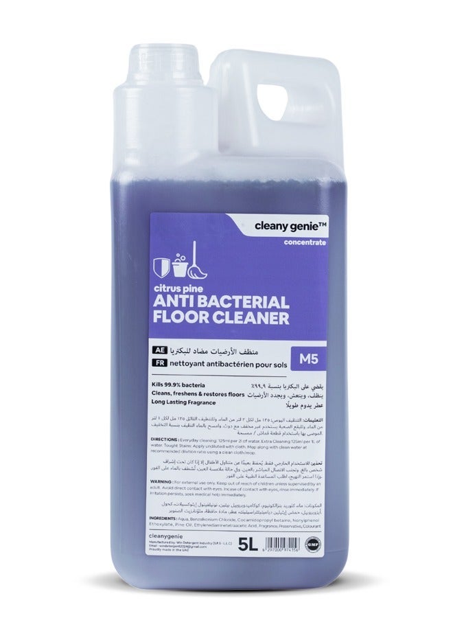 cleany genie Antibacterial Floor Cleaner Concentrate Liquid - Citrus Pine Fragrance 5 Liter - Image 1