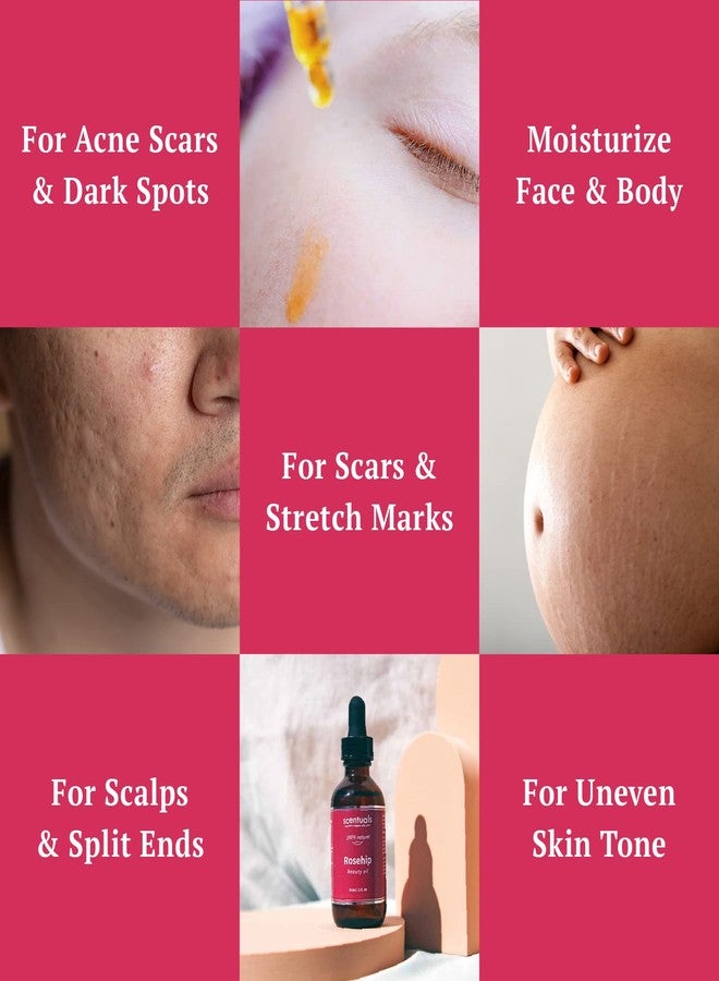Scentuals Rosehip Facial Oil Blend, Face Moisturizer with Pure Rosehip, Grapeseed Oil, Apricot Oil, Safflower Oil, Vitamin E for Deep Hydration, Protection and Versatile Anti Aging Skincare, 2 fl.oz | 60 ml - Image 3