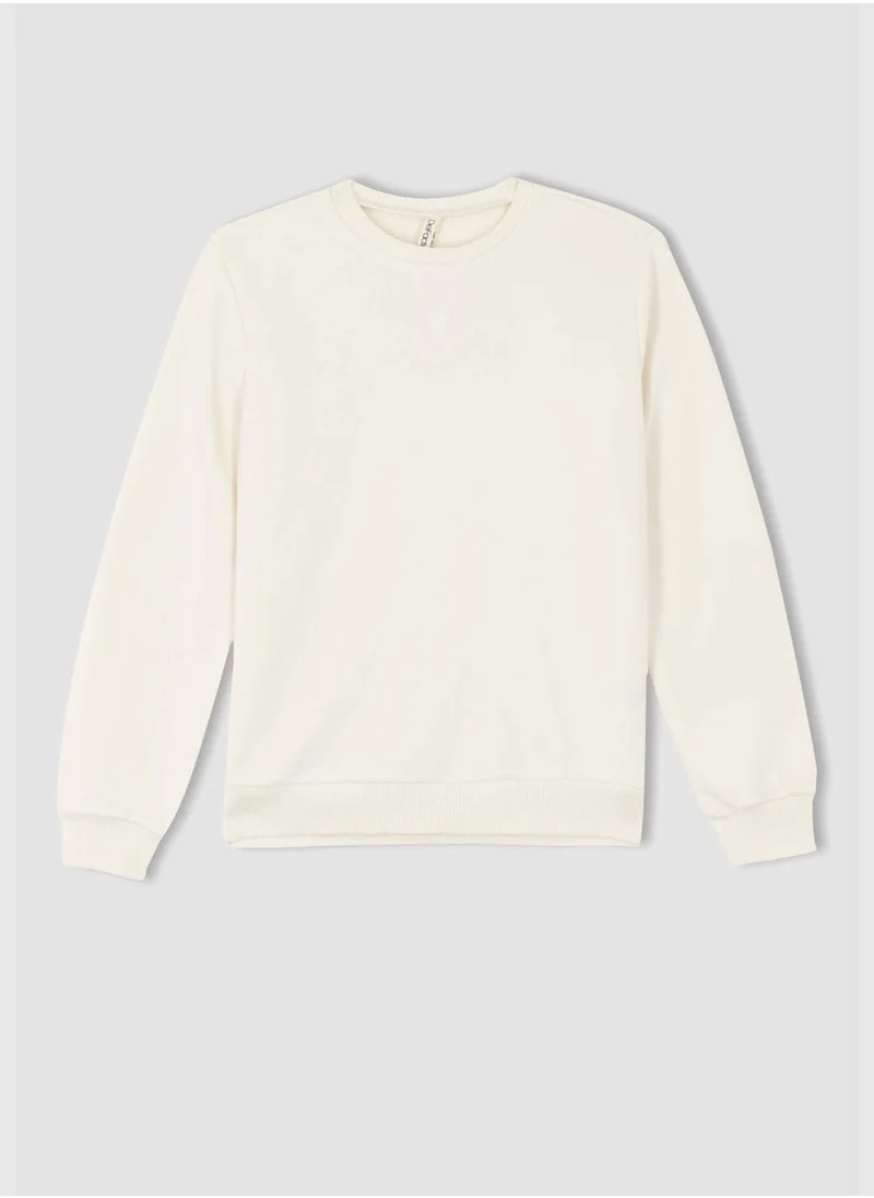 DeFacto Long Sleeve Crew Neck Sweater
